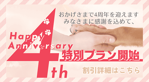 4周年キャンペーン